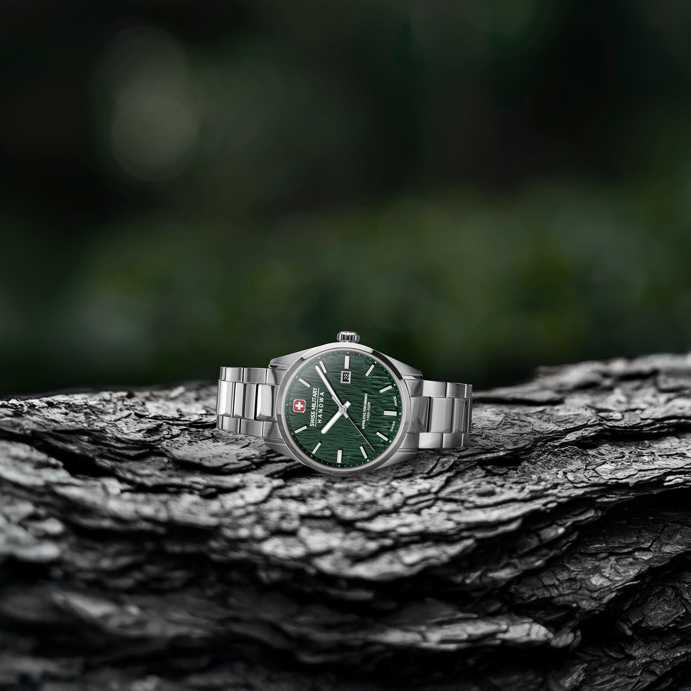 Silver Fir Men's Analog Watch