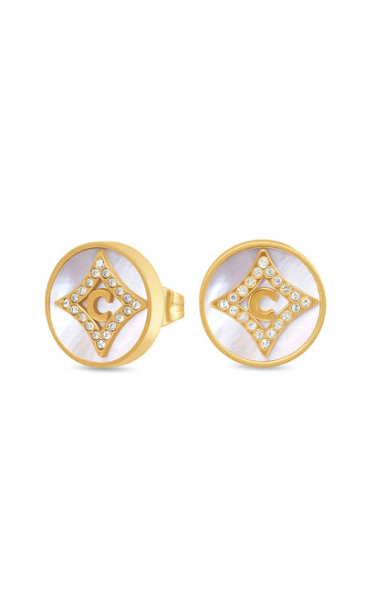 Tessa Stainless Steel Earrings for Women