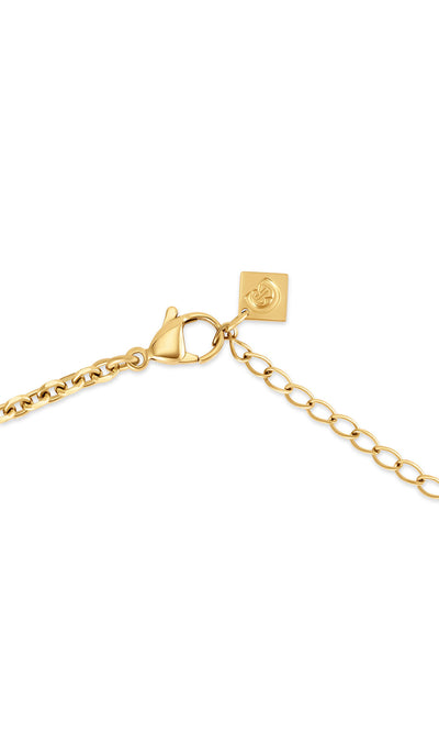 Cerruti 1881 Beatrice Stainless Steel Pendant Necklace for Women
