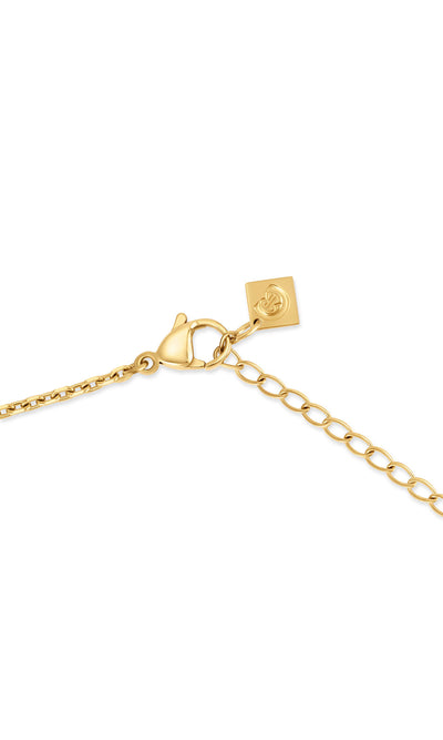 Cerruti 1881 Raffaella Stainless Steel Necklace for Women