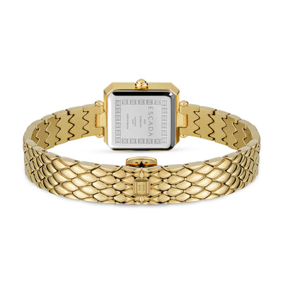 Ava Women's Analog Watch